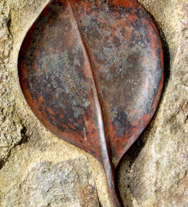 Bronze Leaf Bev Dunbar The Gilded Image