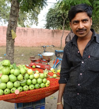 Delhi Fruit Seller Bev Dunbar The Gilded Image