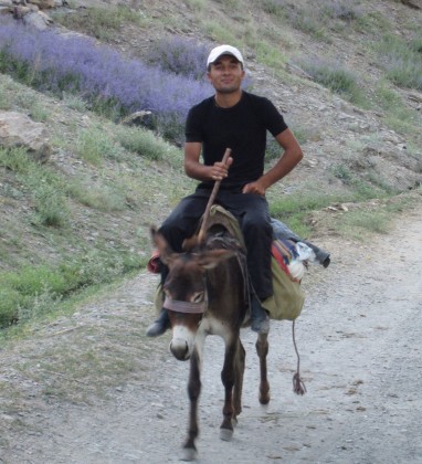 Donkey Ride Sentab Village Uzbekistan Bev Dunbar The Gilded Image