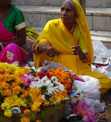 Flower Seller Udaipur Bev Dunbar The Gilded Image