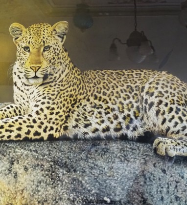 Ganga State Museum Bikaner 1 Leopard Bev Dunbar The Gilded Image