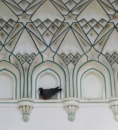 JAIPUR Albert Hall Museum Pigeon Bev Dunbar The Gilded Image