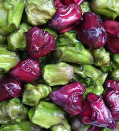 Jaipur Market Vegetables Bev Dunbar The Gilded Image