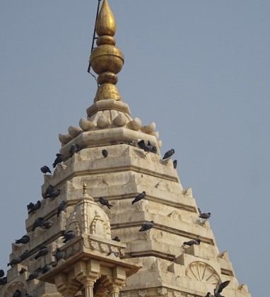 Jodhpur Roof Detail Bev Dunbar The Gilded Image