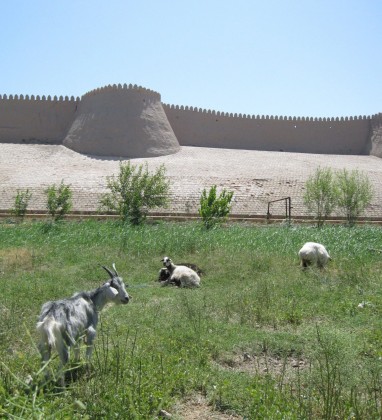 Khiva Fortress Wall Uzbekistan Bev Dunbar The Gilded Image