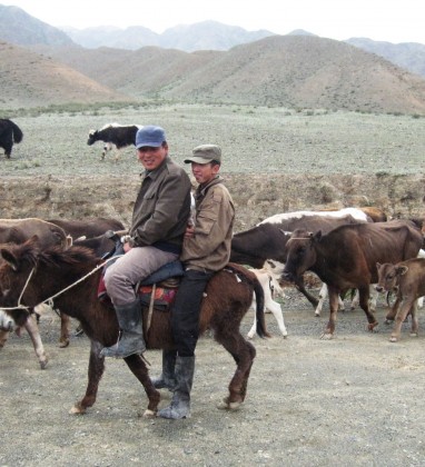 Kyrgyz Cattle Herders Bev Dunbar The Gilded Image