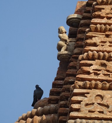 Pigeon Sas Bahu Vishnu Temple Nagda Bev Dunbar The Gilded Image