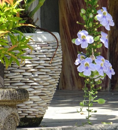 Purple Flower Santi Mandal Resort Bev Dunbar The Gilded Image