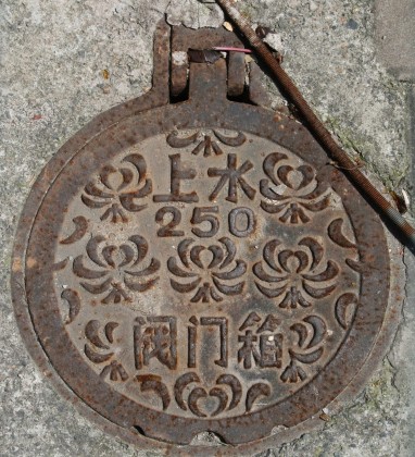 Shanghai Manhole Cover Bev Dunbar The Gilded Image