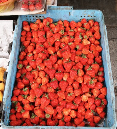 Shanghai Strawberries Bev Dunbar The Gilded Image