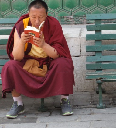 Studious Monk Beijing Bev Dunbar The Gilded Image