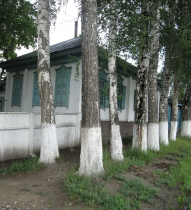 Tamga Trees Kyrgyzstan Bev Dunbar The Gilded Image